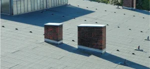 Team Members Image 2