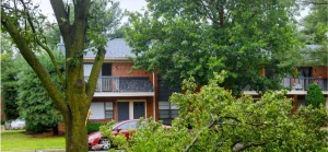 Team Members Image 6